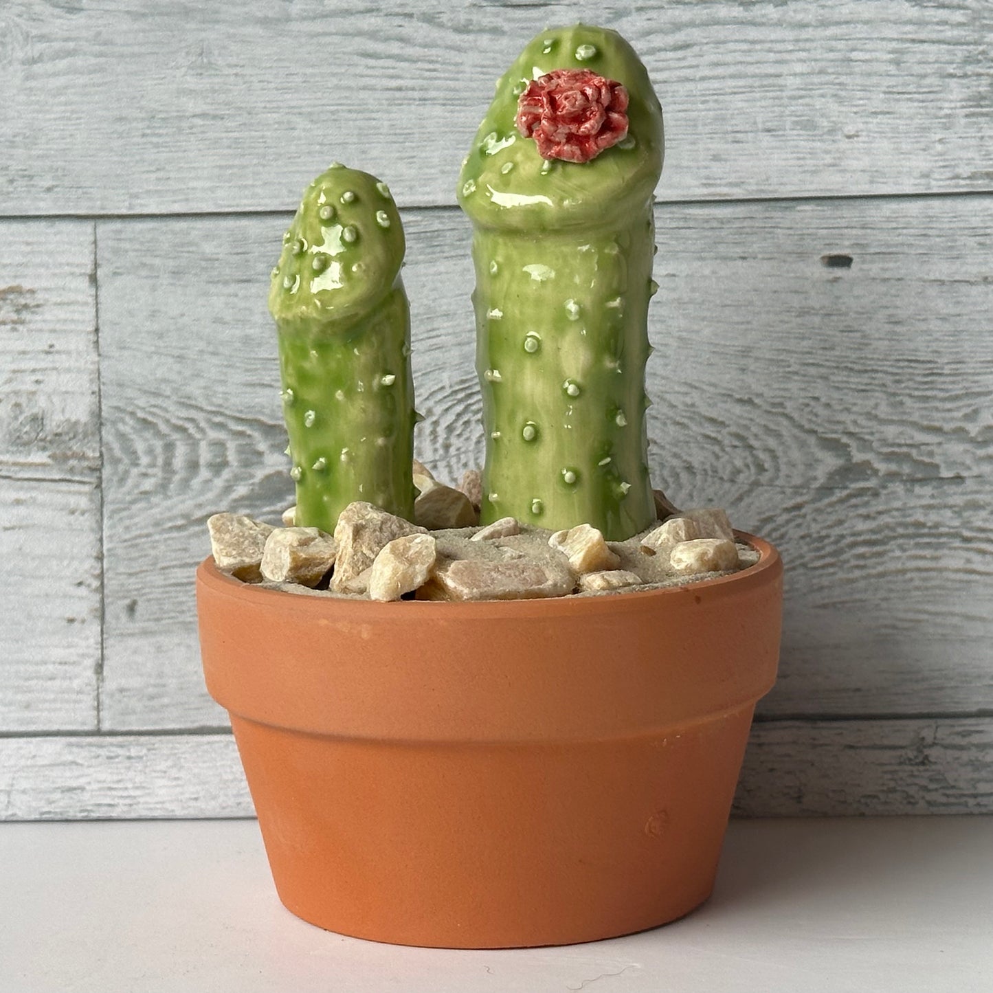Cocktus Planter