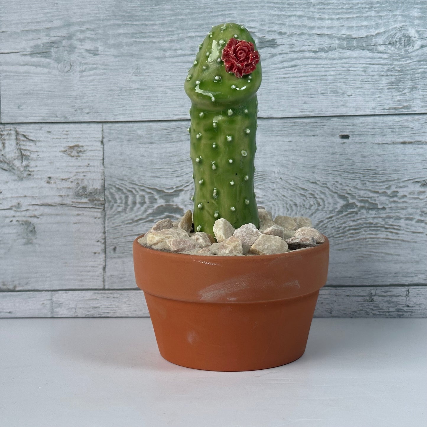 Cocktus Planter