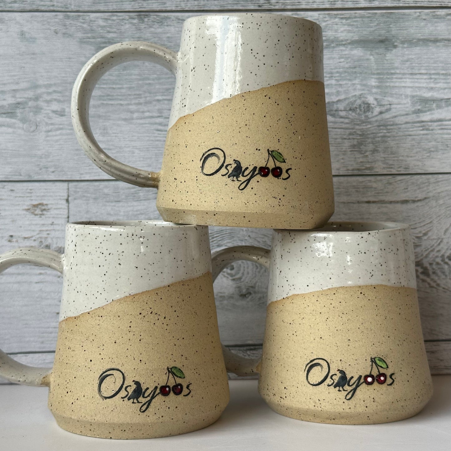 Osoyoos Mug π