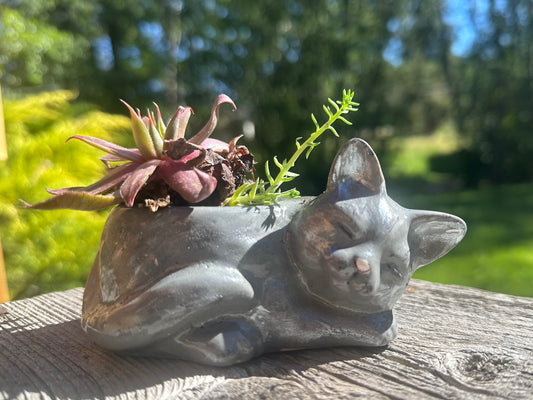 Little Cat Planter – For a Pawsitive Cause